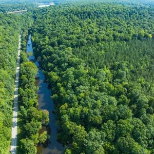 Photo #22 of Off of Cassam Road, Bahama, NC 32.7 acres