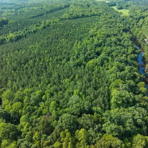 Photo #27 of Off of Cassam Road, Bahama, NC 32.7 acres