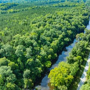 Photo #32 of Off of Cassam Road, Bahama, NC 32.7 acres