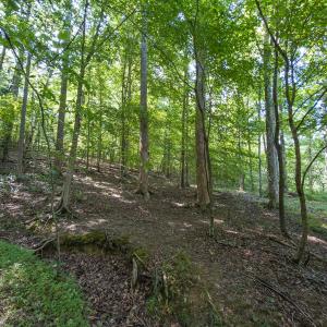 Photo #37 of Off of Cassam Road, Bahama, NC 32.7 acres