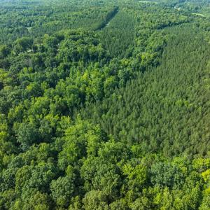Photo #43 of Off of Cassam Road, Bahama, NC 32.7 acres