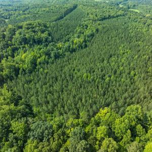 Photo #29 of Off of Cassam Road, Bahama, NC 54.4 acres