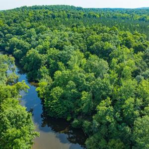 Photo #41 of Off of Cassam Road, Bahama, NC 54.4 acres