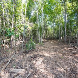 Photo #43 of Off of Cassam Road, Bahama, NC 54.4 acres