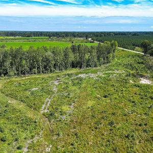 Photo #13 of Off of Hollybush Road, Dendron, VA 19.2 acres