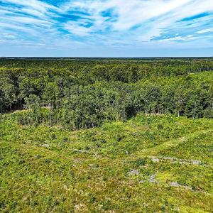 Photo #14 of Off of Hollybush Road, Dendron, VA 19.2 acres