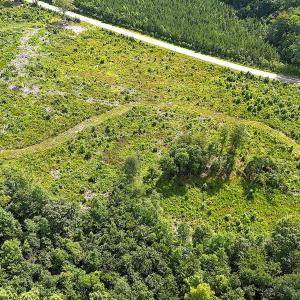 Photo #15 of Off of Hollybush Road, Dendron, VA 19.2 acres