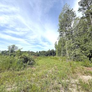 Photo #18 of Off of Hollybush Road, Dendron, VA 19.2 acres