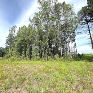 Photo #19 of Off of Hollybush Road, Dendron, VA 19.2 acres