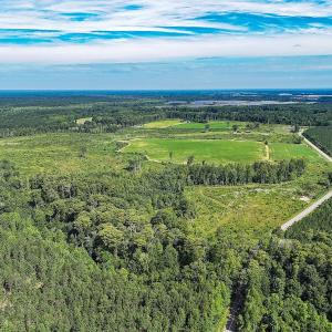 Photo #1 of Off of Hollybush Road, Dendron, VA 19.2 acres