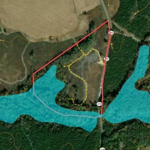 Photo #2 of Off of Hollybush Road, Dendron, VA 19.2 acres