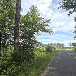 Photo #3 of Off of Hollybush Road, Dendron, VA 19.2 acres