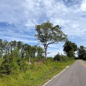 Photo #4 of Off of Hollybush Road, Dendron, VA 19.2 acres
