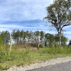 Photo #5 of Off of Hollybush Road, Dendron, VA 19.2 acres