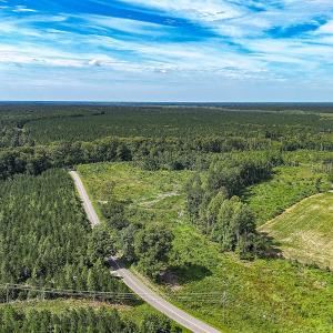 Photo #6 of Off of Hollybush Road, Dendron, VA 19.2 acres