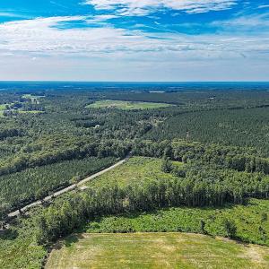 Photo #8 of Off of Hollybush Road, Dendron, VA 19.2 acres