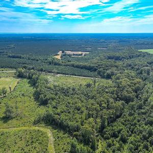 Photo #9 of Off of Hollybush Road, Dendron, VA 19.2 acres