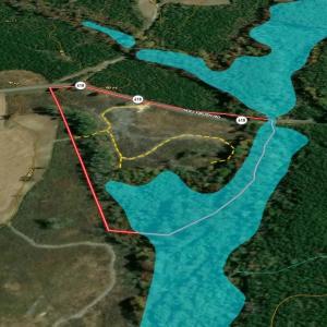 Photo #10 of Off of Hollybush Road, Dendron, VA 19.2 acres