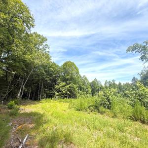 Photo #22 of Off of Hollybush Road, Dendron, VA 19.2 acres