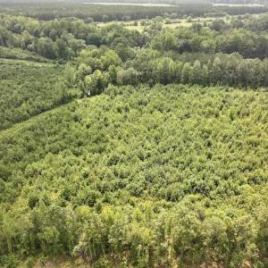 Photo #11 of 15 Rainbow Road, Off Hwy 561, Scotland Neck, NC 14.2 acres