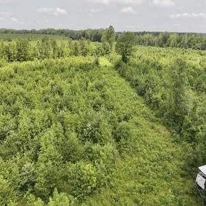 Photo #17 of 15 Rainbow Road, Off Hwy 561, Scotland Neck, NC 14.2 acres