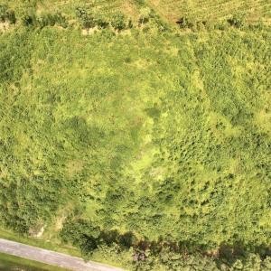 Photo #20 of 15 Rainbow Road, Off Hwy 561, Scotland Neck, NC 14.2 acres