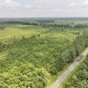 Photo #3 of 15 Rainbow Road, Off Hwy 561, Scotland Neck, NC 14.2 acres