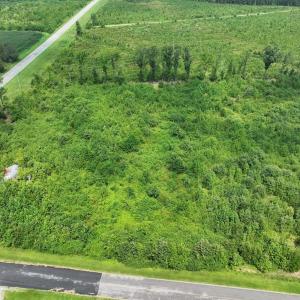 Photo #4 of 15 Rainbow Road, Off Hwy 561, Scotland Neck, NC 14.2 acres