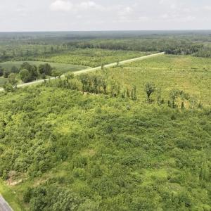 Photo #5 of 15 Rainbow Road, Off Hwy 561, Scotland Neck, NC 14.2 acres