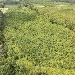 Photo #8 of 15 Rainbow Road, Off Hwy 561, Scotland Neck, NC 14.2 acres