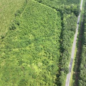 Photo #21 of 15 Rainbow Road, Off Hwy 561, Scotland Neck, NC 14.2 acres