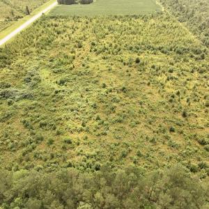Photo #11 of Off of Hwy 561, Halifax, NC 24.5 acres