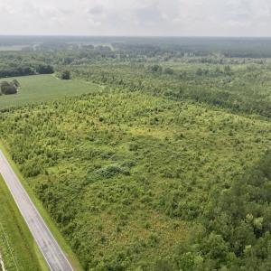 Photo #12 of Off of Hwy 561, Halifax, NC 24.5 acres