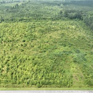Photo #13 of Off of Hwy 561, Halifax, NC 24.5 acres