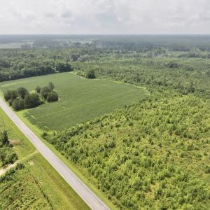 Photo #14 of Off of Hwy 561, Halifax, NC 24.5 acres