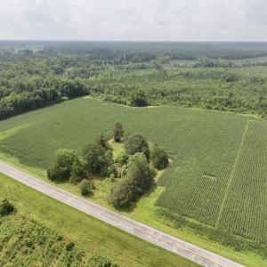 Photo #17 of Off of Hwy 561, Halifax, NC 24.5 acres