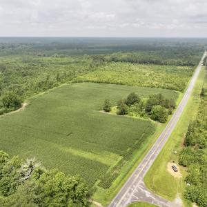 Photo #1 of Off of Hwy 561, Halifax, NC 24.5 acres