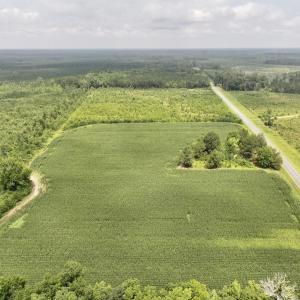 Photo #2 of Off of Hwy 561, Halifax, NC 24.5 acres