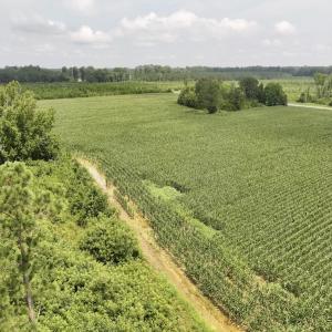 Photo #24 of Off of Hwy 561, Halifax, NC 24.5 acres