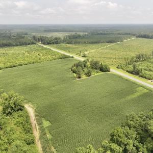 Photo #3 of Off of Hwy 561, Halifax, NC 24.5 acres