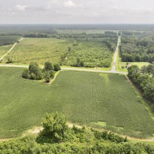 Photo #4 of Off of Hwy 561, Halifax, NC 24.5 acres