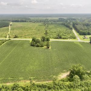 Photo #5 of Off of Hwy 561, Halifax, NC 24.5 acres