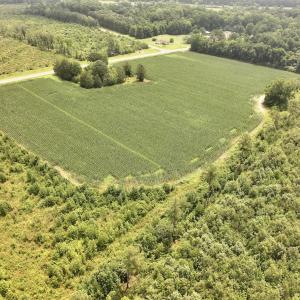 Photo #6 of Off of Hwy 561, Halifax, NC 24.5 acres