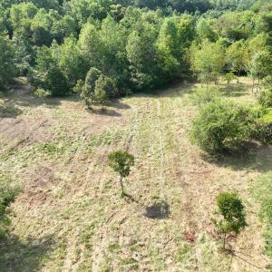 Photo #12 of Off of Moneta Rd, Moneta, VA 10.4 acres