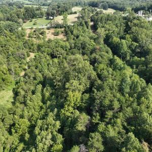 Photo #6 of Off of Moneta Rd, Moneta, VA 10.4 acres