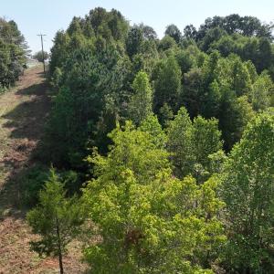 Photo #11 of Off of Moneta Rd, Moneta, VA 10.4 acres