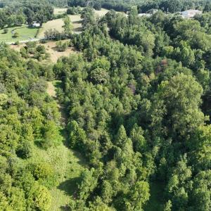 Photo #16 of Off of Moneta Rd, Moneta, VA 10.4 acres