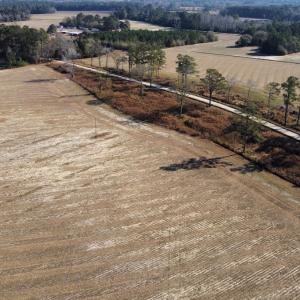 Photo #2 of Off of Black Creek Rd, Nichols, SC 72.5 acres