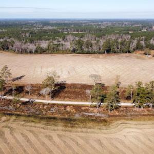 Photo #1 of Off of Black Creek Rd, Nichols, SC 72.5 acres