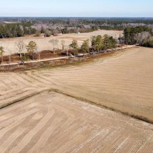 Photo #3 of Off of Black Creek Rd, Nichols, SC 72.5 acres